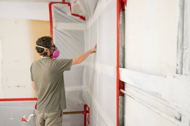 Best Post-Remediation Verification Testing  in Harrison, MI