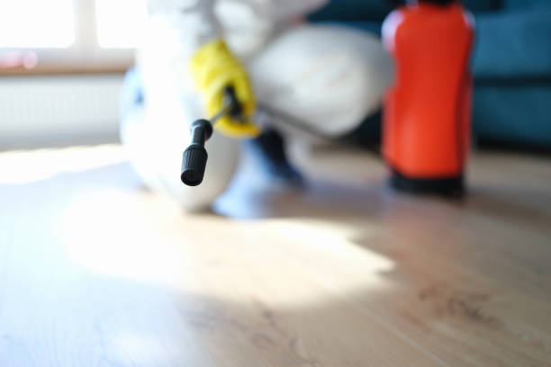 Best Dehumidification Services  in Harrison, MI