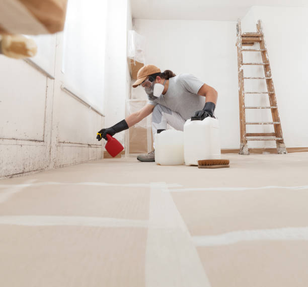  Harrison, MI Mold Removal Pros